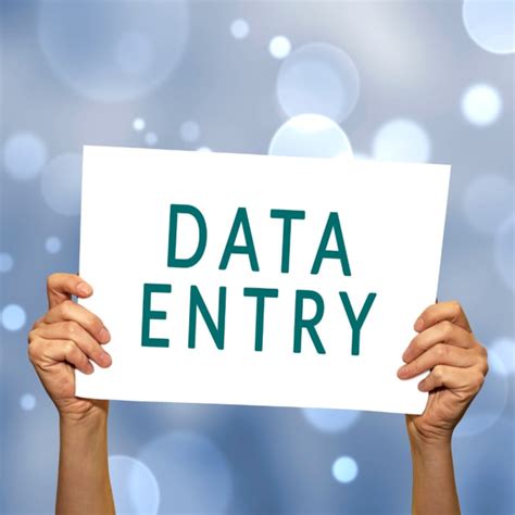 Perform Data Entry Functions Using Microsoft Excel And Word By