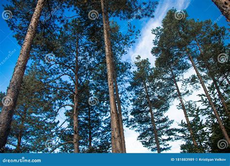 Rhodope Mountains from Bulgaria-Europe Stock Image - Image of cascade, devils: 181883989