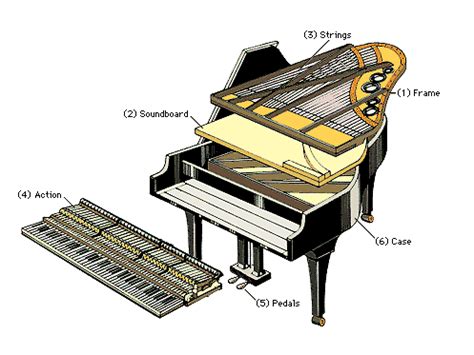 grand piano works construction function parts