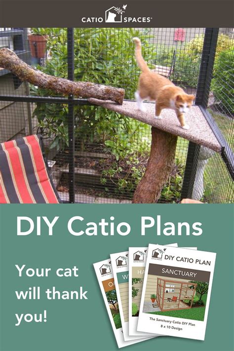 The Window Box™ Catio Plans | Catio plans, Catio, Cat enclosure