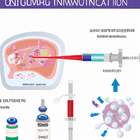 Understanding IVIG Treatment: A Comprehensive Guide - The Cognitive Orbit