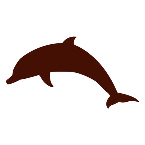 Jumping Dolphin Png Image Transparent Background