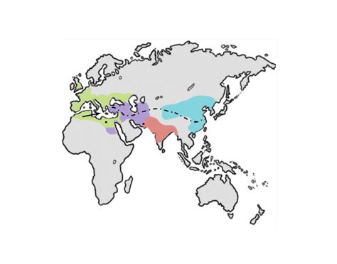 Classical Civilizations Map Check Part 1 Quiz