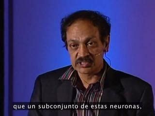 Ramachandran - TED talk mirror neurons - Film Dailymotion | Neurons ...