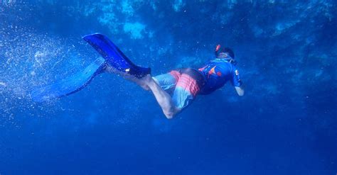 How Deep Do Beginner Freedivers Go Ocean Thrill