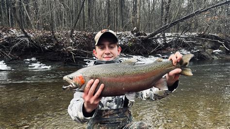 Fishing Lake Erie Tributaries For Monster Steelhead Bobber Downs