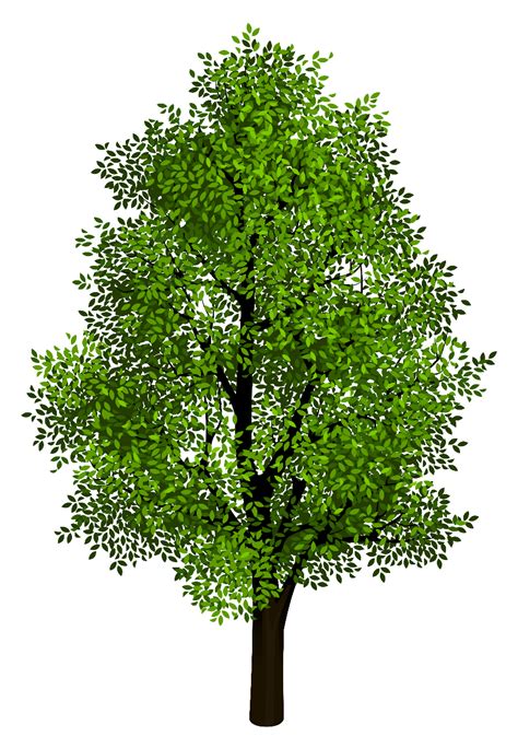 Download High Quality tree transparent realistic Transparent PNG Images ...