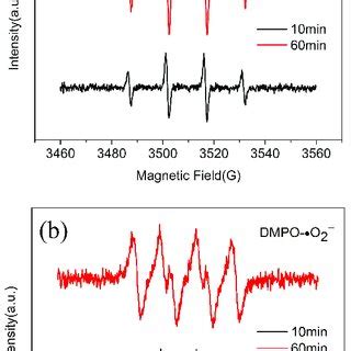 Epr Spectra Of A Dmpo Oh Adducts And B Dmpo O Adducts