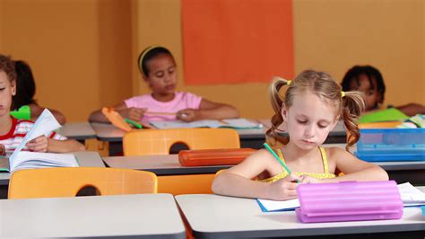 Vi Encontro Anual Da Rede Nacional De Ci Ncia Para Educa O Rede Cpe