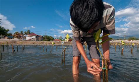 Provocări și oportunități ale resurselor naturale în Indonezia