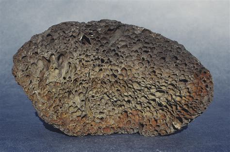 Vesicular Basalt Photograph by A.b. Joyce