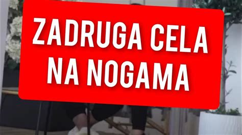 OVO SU SVI CEKALI CELA ZADRUGA NA NOGAMA YouTube