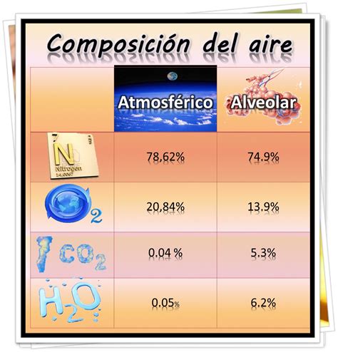 Fisiología Portafolio De Evidencias Composición Química Del Aire Atmosférico Y Alveolar