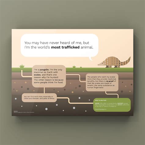 Save the Pangolins Project :: Behance