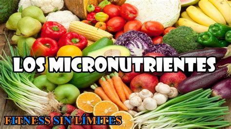 Estos Son Los Micronutrientes Que Deben Consumir Los Adultos Mayores