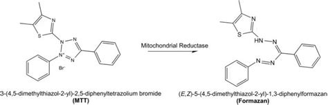 Difference Between MTT and MTS Assay