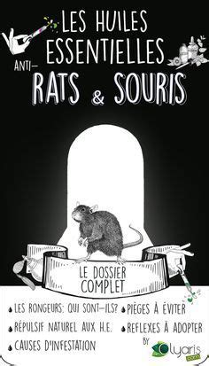 R Pulsif Rats Et Souris Les Huiles Essentielles Utiliser Huiles