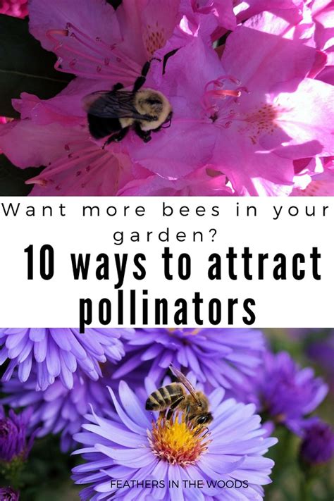 10 Ways To Attract Bees To Your Garden Feathers In The Woods