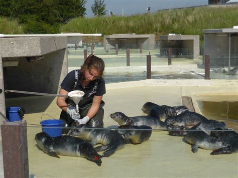 Seehundstation Friedrichskoog