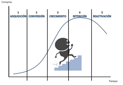 El Ciclo De Vida Del Consumidor Y El Marketing