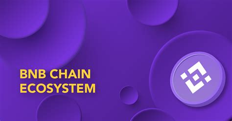 Bnb Chain Ecosystem Chain Debrief