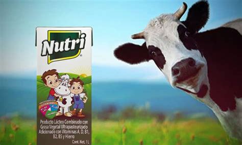 Qui N Es El Due O De La Leche Nutri Esta Es La Empresa Detr S