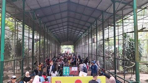 Awas Buah Sampah Sembarangan Di Taman Margasatwa Ragunan Bisa Kena