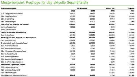 Bei Den Steuern Gilt Gut Optimiert Ist Halb Gespart Bauernzeitung Ch