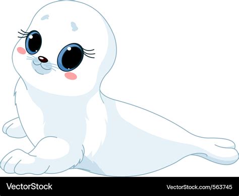 Cartoon Baby Seal Royalty Free Vector Image VectorStock