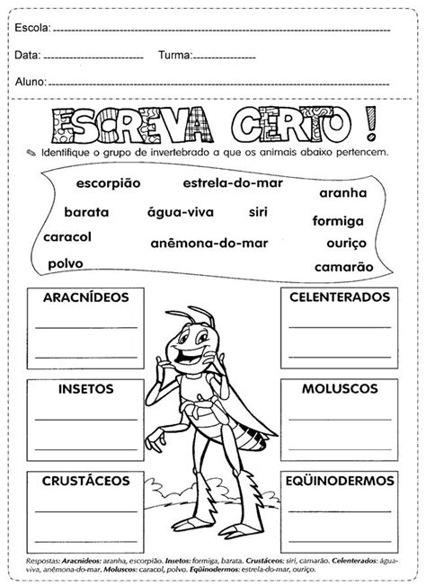 Atividades Para Imprimir Para O Ano Do Ensino Fundamental