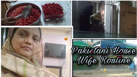 Pakistani House Wife Daily Routine Vlog Daily Routine Vlog By