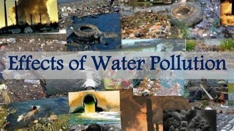 Petition · Effects of Water Pollution · Change.org