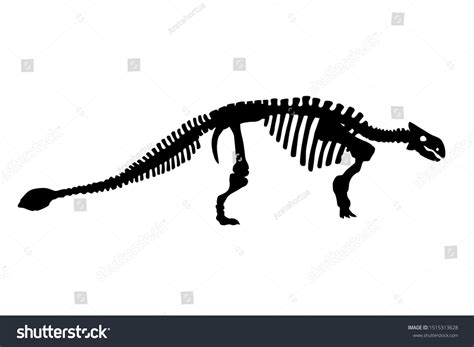 Vector Dinosaur Ankylosaurus Skeleton Silhouette Illustration Stock Vector (Royalty Free ...