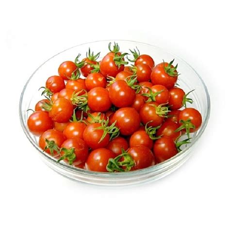 China Export Wholesale Half Diced Iqf Frozen Tomato China Fresh Tomato And Tomato Paste