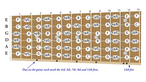 Guitar Notes for Beginners