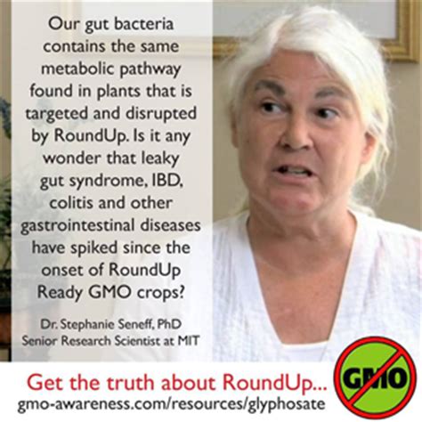 Dr. Stephanie Seneff: The Glyphosate (RoundUp) Autism Connection - Food ...