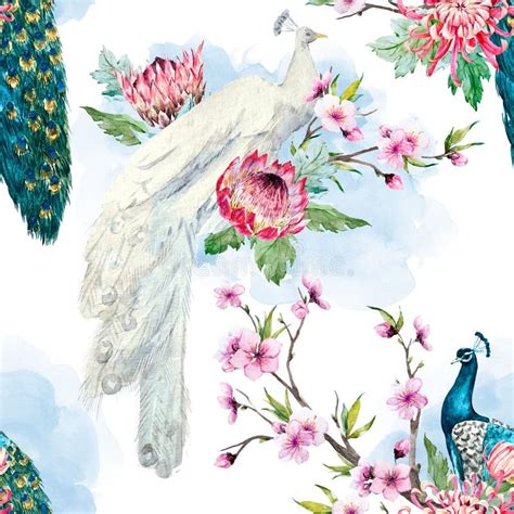 Watercolor Peacock And Flowers Pattern Stock Illustration