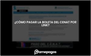 C Mo Se Paga La Boleta De Cenat Actualizado