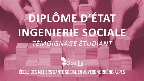 Devenir ingénieur social le diplôme d état d ingénierie sociale à