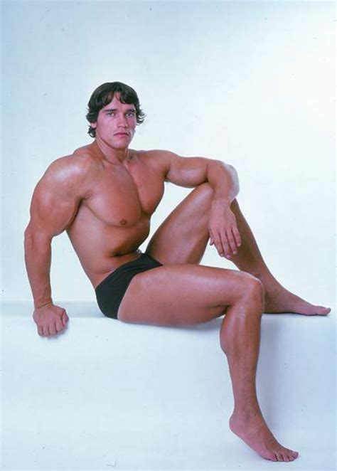 Arnold Schwarzenegger The Pinnacle Of Physical Perfection In October