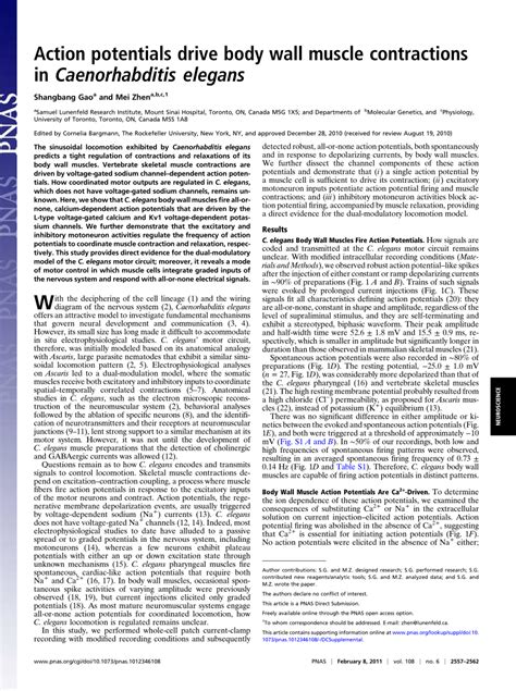 Pdf Action Potentials Drive Body Wall Muscle Contractions In