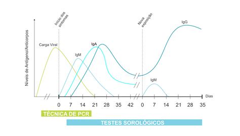 Labtest Diagnóstica Resposta imunológica da COVID 19