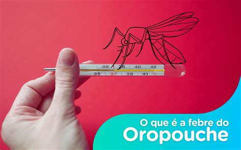 Febre Oropouche Quanto Tempo Dura - O que é a febre do Oropouche, doença com aumento de 800% no número de ...