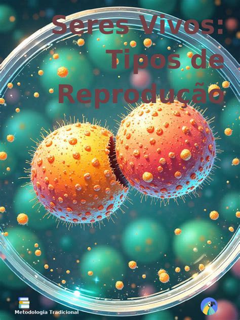 Seres Vivos - Tipos de Reproducao | PDF | Reprodução | Reprodução sexual