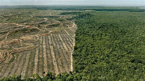 Impacto Ambiental Qué Es Concepto Y Definición