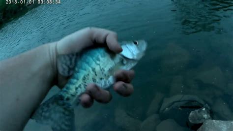 White Bass Crappie Catch Clean Cook YouTube