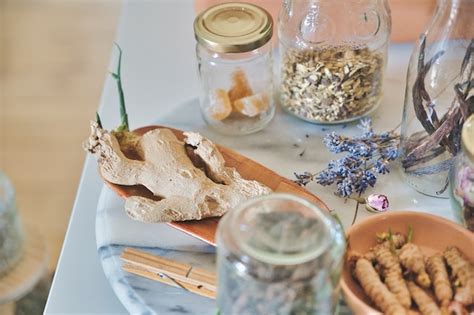 Using Rosemary in Your Cooking: A Beginner's Guide ️ - Special Magic ...