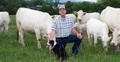 The Charolais Breed Means More Than an Impressive Yield to This Farmer ...