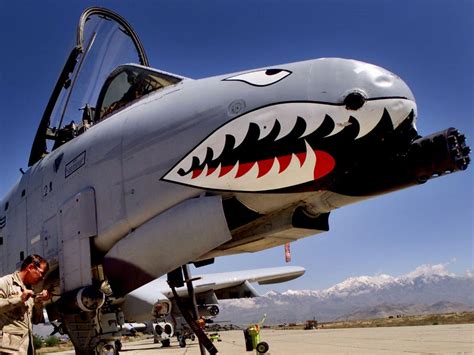 The A-10 Warthog Has Never Been Described More Accurately Than This ...