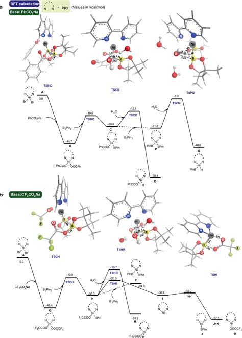 Dft Calculations For Reaction Mechanism A The Free Energy Reaction